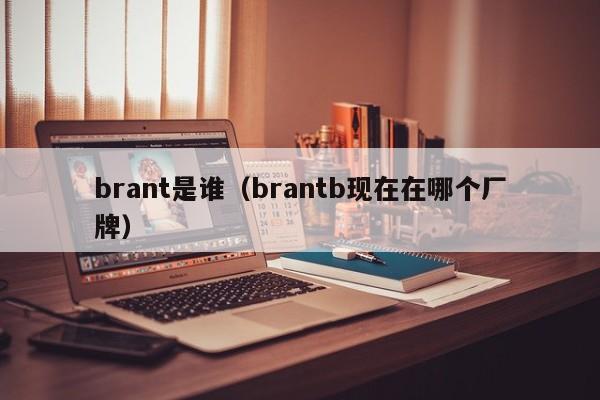 brant是谁（brantb现在在哪个厂牌）