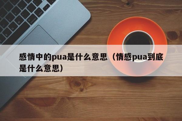 感情中的pua是什么意思（情感pua到底是什么意思）