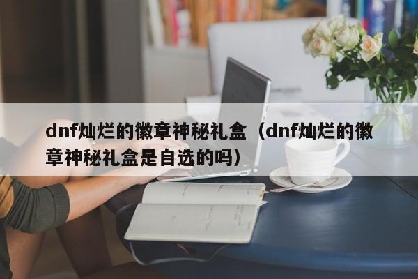 dnf灿烂的徽章神秘礼盒（dnf灿烂的徽章神秘礼盒是自选的吗）