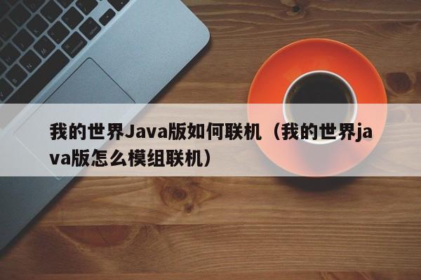 我的世界Java版如何联机（我的世界java版怎么模组联机）