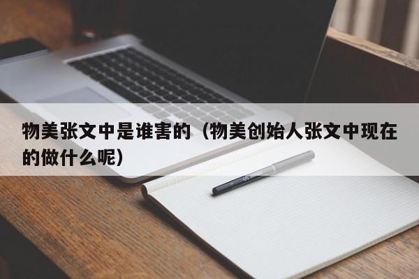 物美张文中是谁害的(物美创始人张文中现在的做什么呢)