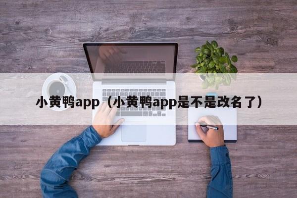 小黄鸭app（小黄鸭app是不是改名了）