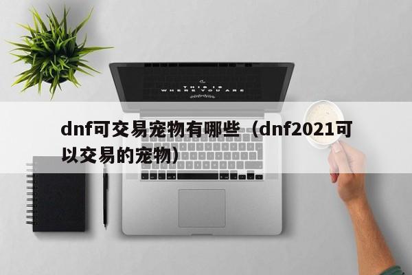 dnf可交易宠物有哪些（dnf2021可以交易的宠物）