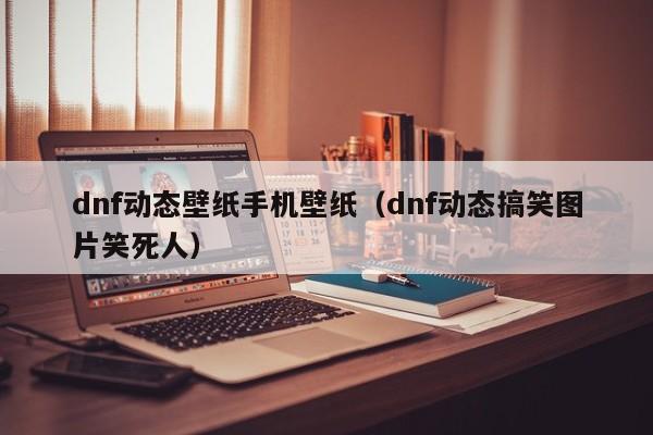 dnf动态壁纸手机壁纸（dnf动态搞笑图片笑死人）