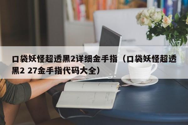 口袋妖怪超透黑2详细金手指（口袋妖怪超透黑2 27金手指代码大全）
