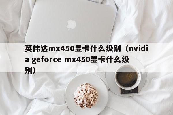 英伟达mx450显卡什么级别（nvidia geforce mx450显卡什么级别）